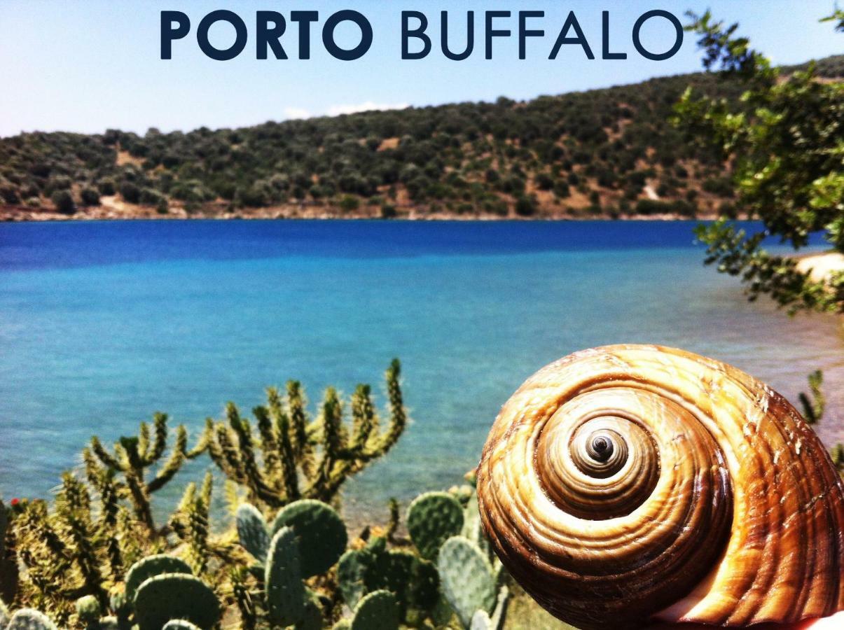 Sea Front Studio - Porto Boufalo - Evia Buitenkant foto
